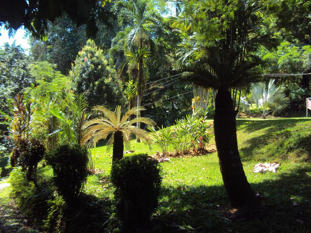 La Purruja Lodge Golfito Zewnętrze zdjęcie
