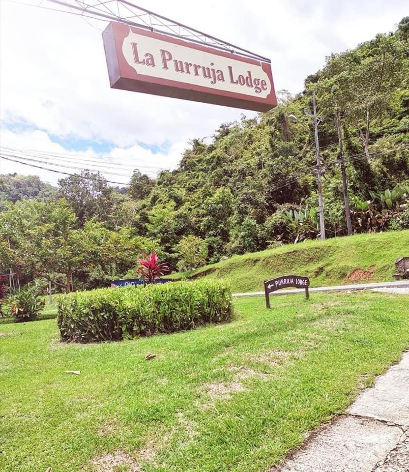 La Purruja Lodge Golfito Zewnętrze zdjęcie